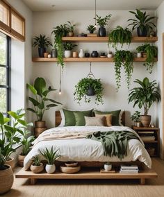 a bedroom with lots of plants on the shelves above the bed and in between two windows