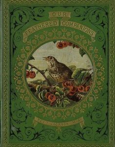 a green book with a bird on it's cover and the words our feathered companions