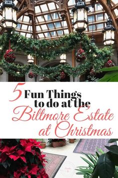 christmas decorations with the words 5 fun things to do at the billmore state at christmas