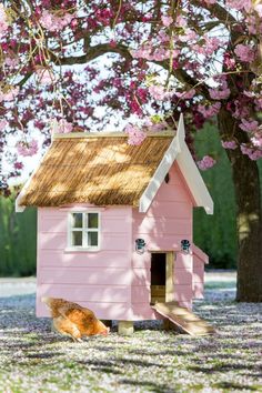 a small pink house with a chicken in it's yard next to a tree