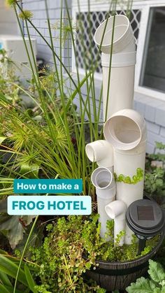 there is a potted plant with many cups in it and the words how to make a frog hotel