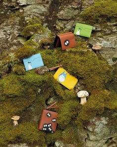 small wallets are sitting on the moss covered ground