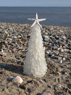 a white starfish on the beach with rocks and water in the backgroud