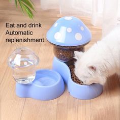 a white cat is eating out of a blue mushroom shaped bowl with water in it