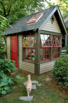 a dog is standing in front of a small shed with a red door and windows