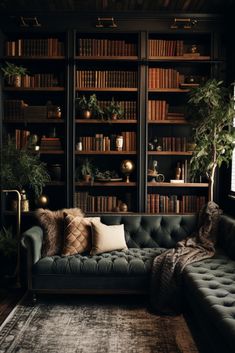 a living room filled with lots of bookshelves next to a couch and rug