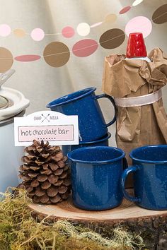 blue mugs and pine cones are on display