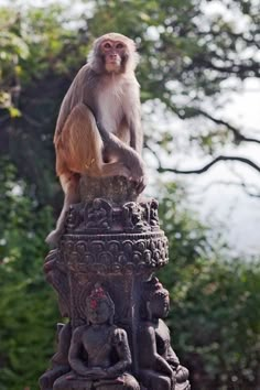 a monkey sitting on top of a statue