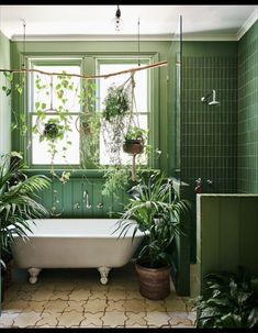 a bathroom with green walls and plants in the bathtub, along with a white tub surrounded by potted plants