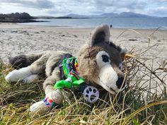 a stuffed animal that is laying in the grass