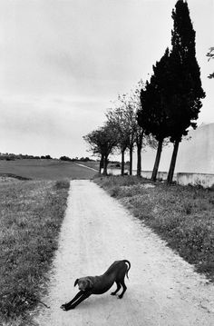 SPAIN. 1977. © JK. Magnum Photos. Josef Koudelka Hieronymus Bosch, Black White Photos