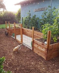 an outdoor garden with wooden fenced in plants and animals on the ground next to it