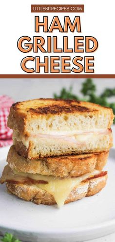 Make the best ham grilled cheese with this easy recipe! Use leftover ham, country bread, and gooey gouda or brie for a fancy twist. Perfect as a hearty sandwich entree with a hint of honey and smoked meat.