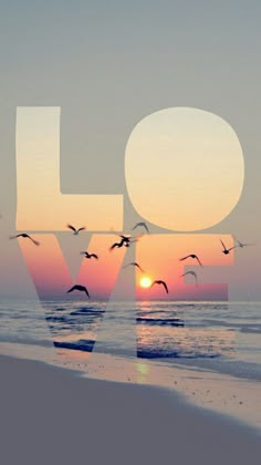 birds flying over the ocean at sunset with the word love spelled in front of them