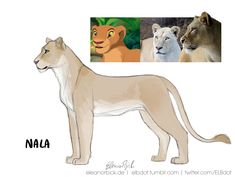 an image of two lions and one lioness with the name nala on it