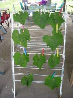 several green leaves are hanging from a rack