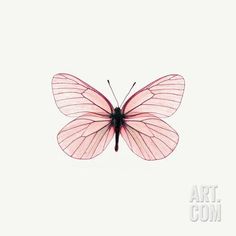 a pink butterfly flying through the air with its wings spread out and it's eyes closed