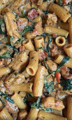 pasta with meat and spinach in a sauce