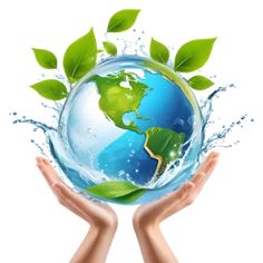 two hands holding a globe with water and green leaves