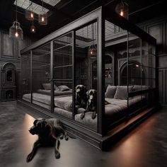 two dogs are sitting on the floor in front of a caged - in bed