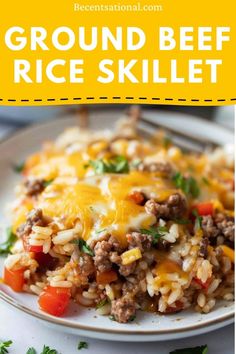 ground beef rice skillet on a white plate