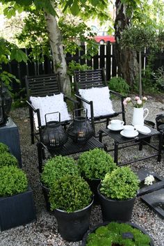 an outdoor patio with potted plants and chairs