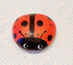 a painted rock with a ladybug on it