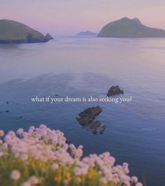 an ocean with some rocks and flowers in the foreground that says, what if your dream is also seeking you?