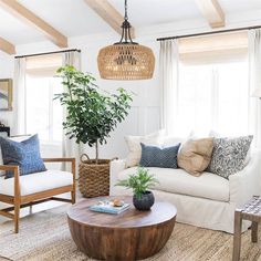 a living room filled with furniture and a potted plant on top of a coffee table