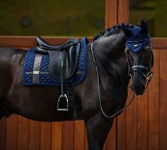 a black horse with a blue saddle standing in front of a wooden wall and door