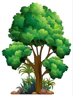 a green tree with lots of leaves and plants around it on a white background illustration