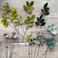 several different types of flowers on a wooden surface