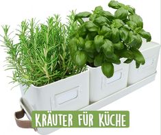 three white trays with herbs in them and the words krauter fur kuche