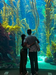 two people standing in front of an aquarium