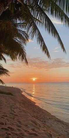 the sun is setting over the ocean with palm trees