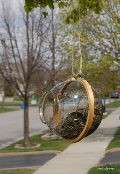 a glass jar hanging from a tree filled with dirt and grass next to a sidewalk