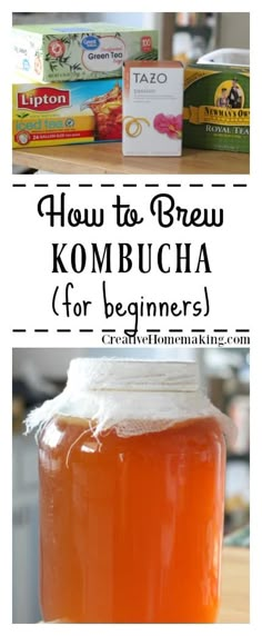 how to brew kombucha for beginners with pictures and text overlay