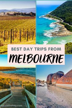 the best day trips from melbourne