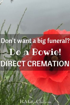 You no longer have to have a funeral. You could just plan a direct cremation and then get your mates to have a party later. Why not do a David Bowie?! Last Will And Testament, Power Of Attorney, When I Die