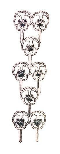 an image of flowers that are in the middle of a line on a white background