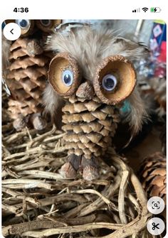 Pine Cone And Acorn Crafts, Pine Cone Owls, Pinecone People, Nut Crafts, Woodland Crafts, Pinecone Owls, Pinecone Crafts Christmas, Twig Crafts, Pinecone Crafts