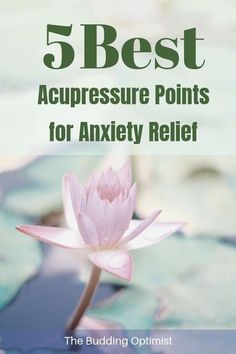 Acupressure Therapy, Acupressure Massage, Posture Exercises, Happy Stuff, Reflexology Massage, Acupressure Points, Natural Health Tips