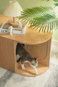 a cat is standing in the corner of a wooden table next to a lamp and book