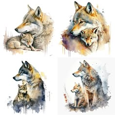 four different pictures of wolfs in watercolor and ink on paper, each with an animal's head resting on its mother