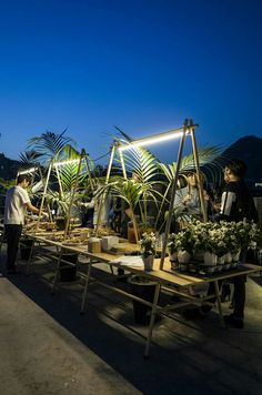 people are looking at potted plants on tables in the evening time with blue sky and mountains behind them