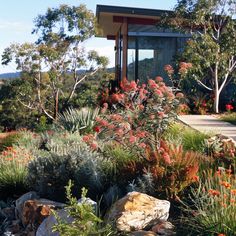 an outdoor area with flowers and rocks in the foreground, along with a building on the other side