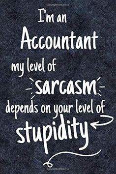 a quote that says i'm an accountant, my level of sargamn defends on your level of stupidity