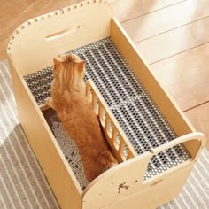 an orange cat sitting in a wooden crate on top of a rug and looking up at the floor