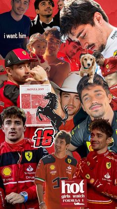 the collage shows many different people in red and yellow uniforms, including one man with a dog on his shoulder