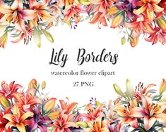 watercolor flower clipart with lily borders